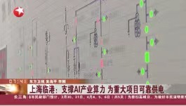 上海临港：支撑AI产业算力 为重大项目可靠供电