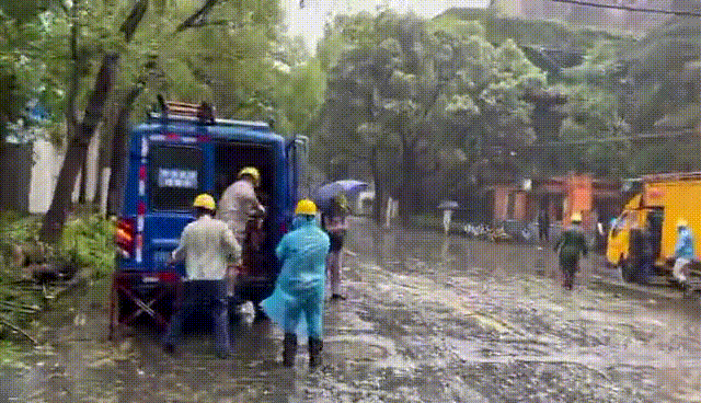 3.gif