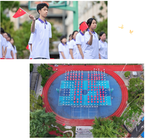 截屏2024-10-08 下午2.47.11.png