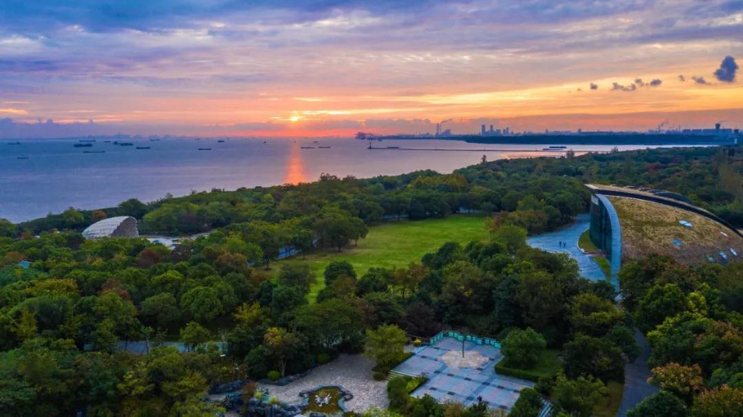 宝山区投资推介会亮出"四张名片"